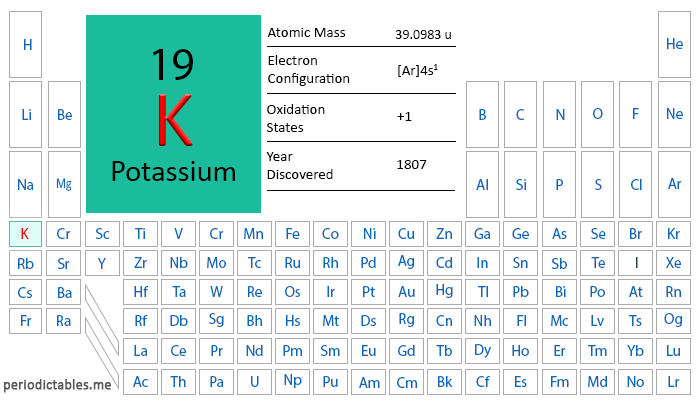 Potassium in the periodic table - atomic number 19, symbol K, electron configuration [Ar] 4s¹, oxidation state +1.